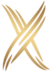 X logo gold G